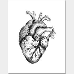Human Heart Posters and Art